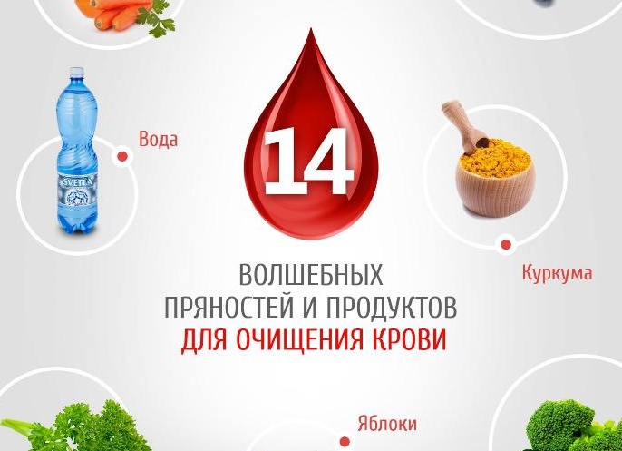 Полезные продукты для очищения крови