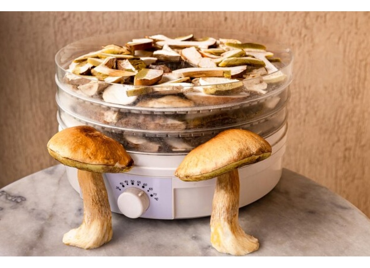 Как посушить белые грибы в сушилке для овощей