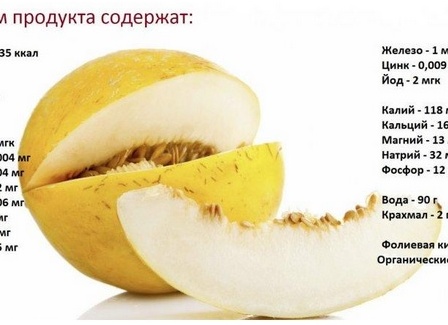 Что такое дыня? Польза и вред дыни для здоровья мужчин и женщин