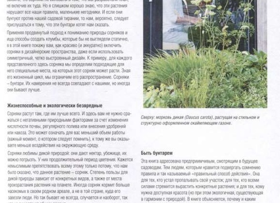 Морковь не всегда полезна: кому этот корнеплод категорически противопоказан