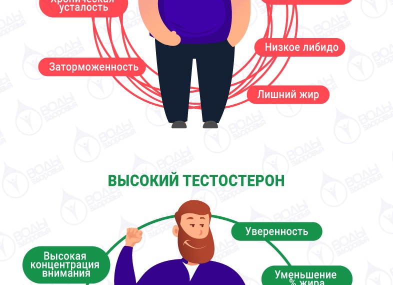 Продукты питания понижающие уровень тестостерона