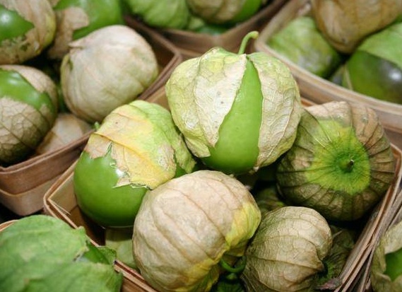 Физалис не всегда полезен: кому эти ягоды противопоказаны