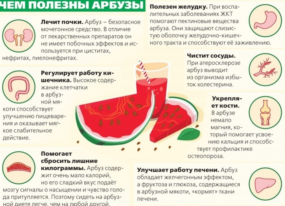 Что такое арбуз? Польза и вред арбуза для здоровья мужчин и женщин