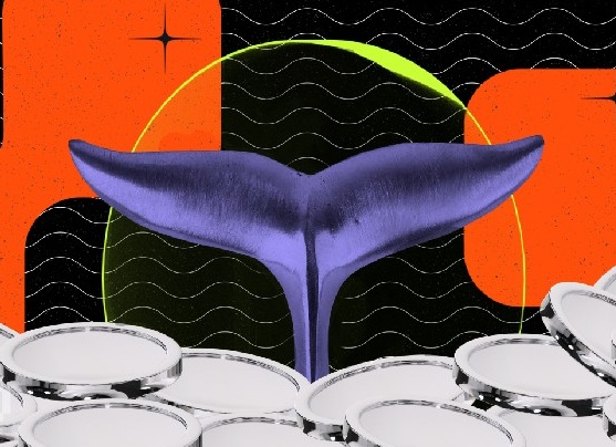 Сентябрьская паника