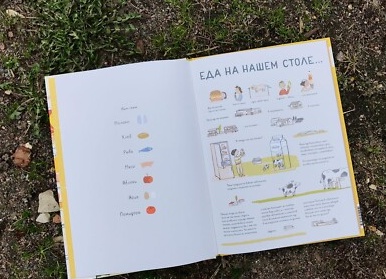 4 мифа о еде: о чем вам врут диетологи