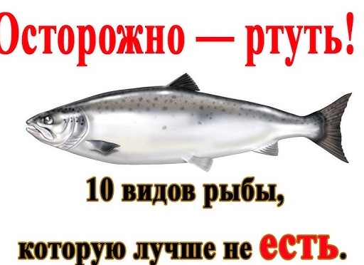 10 видов рыбы, которую лучше не есть