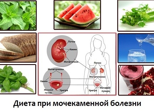 Продукты которые нежелательно есть при пиелонефрите