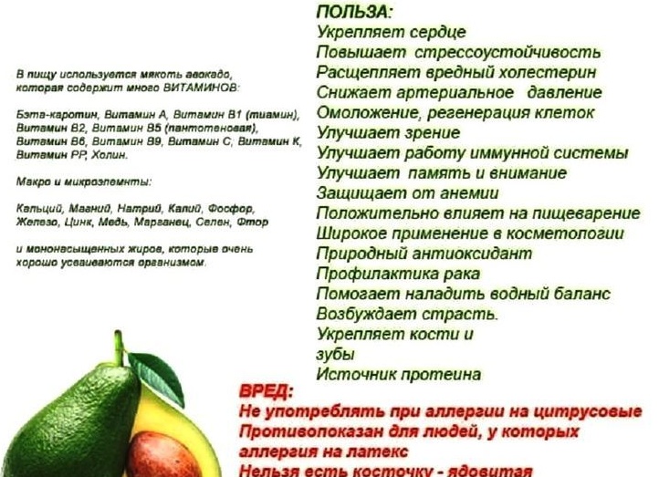 Что такое авокадо? Польза и вред авокадо для организма мужчин и женщин