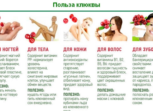Клюква: полезные свойства и противопоказания. Чем полезна для мужчин и женщин?