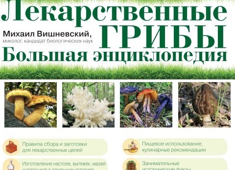 Неожиданные полезные свойства 9-ти вредных продуктов