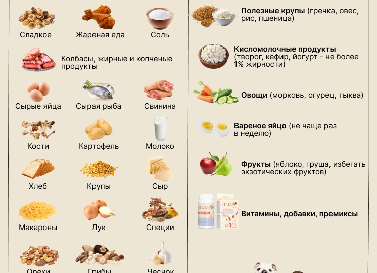Продукты которые нежелательно есть при ожирение